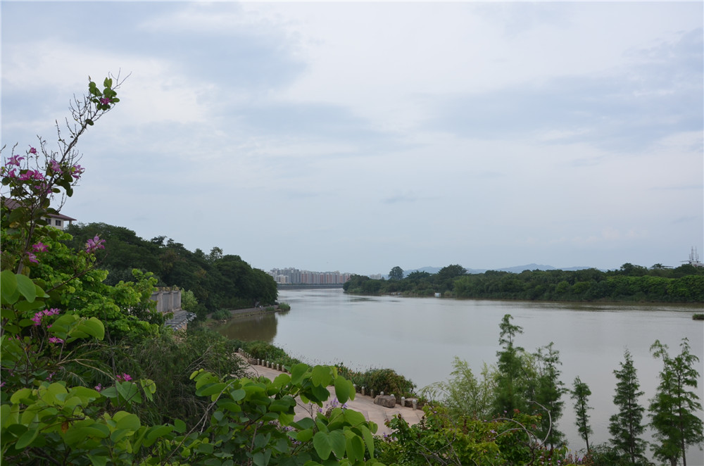 國(guó)務(wù)院：聚焦企業(yè)關(guān)切，進(jìn)一步推動(dòng)優(yōu)化營(yíng)商環(huán)境政策落實(shí)